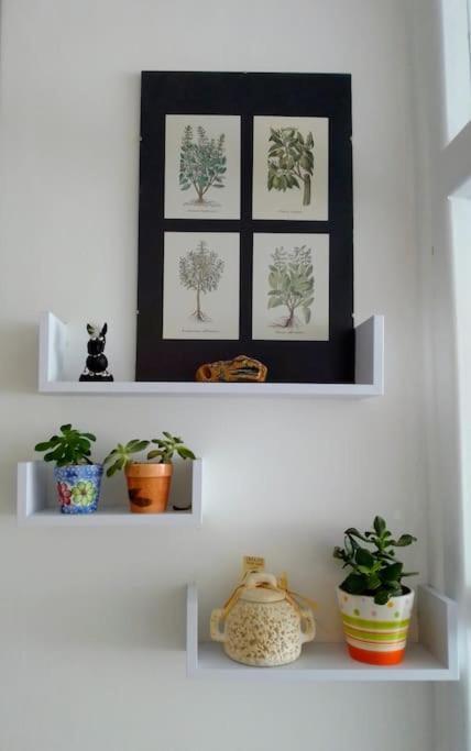 Ma City Apartment ザダル エクステリア 写真